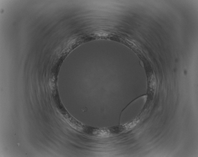 X0000066010559200603061300