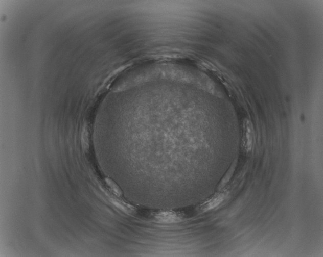 X0000066010562200603061300