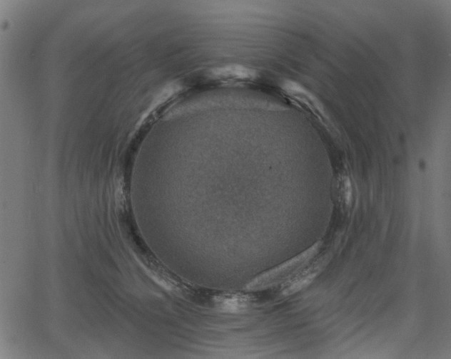 X0000066010564200603061300