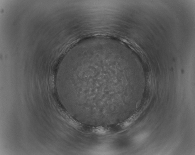 X0000066010565200603061300