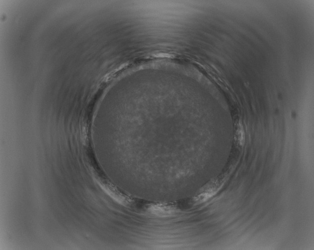 X0000066010568200603061300