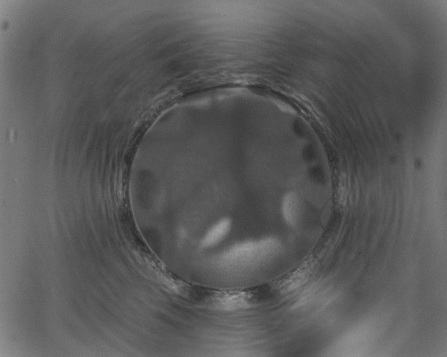 X0000066010569200603061300