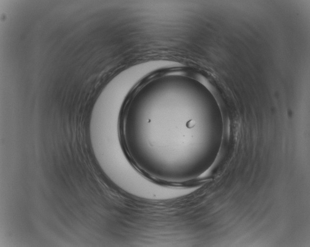 X0000066010570200603061300