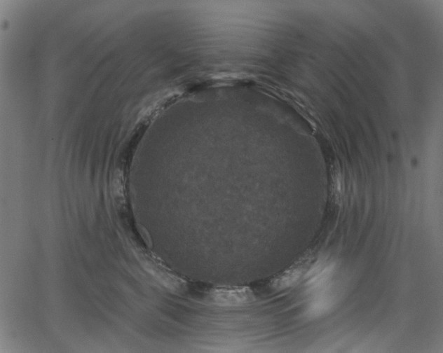 X0000066010571200603061300