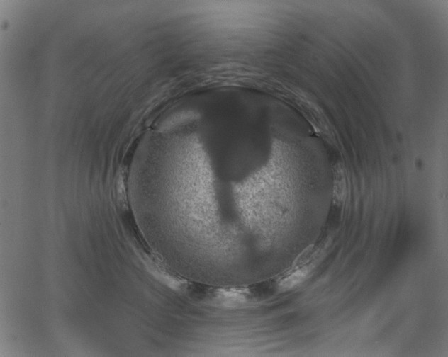 X0000066010573200603061300