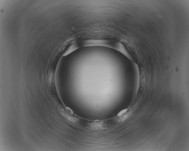 X0000066010574200603061300