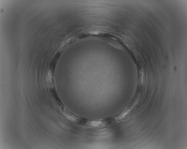 X0000066010575200603061300