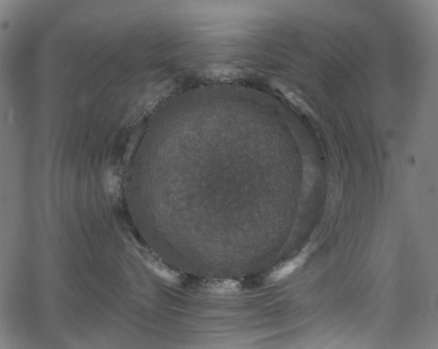 X0000066010576200603061300