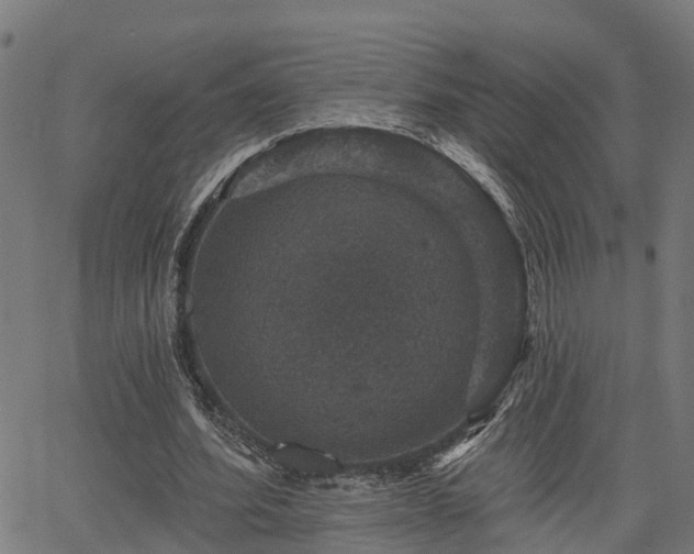 X0000066010580200603061259