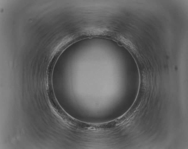 X0000066010582200603061259