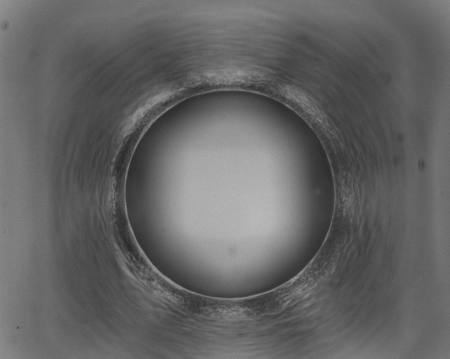 X0000066010583200603061259