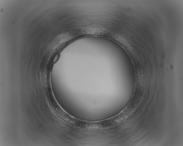 X0000066010587200603061259