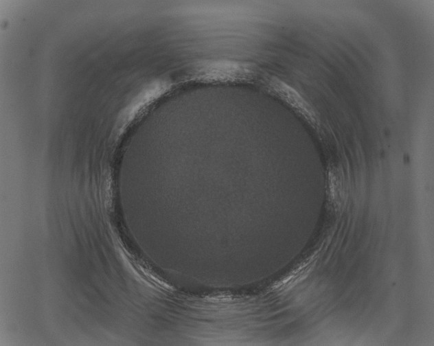 X0000066010588200603061259