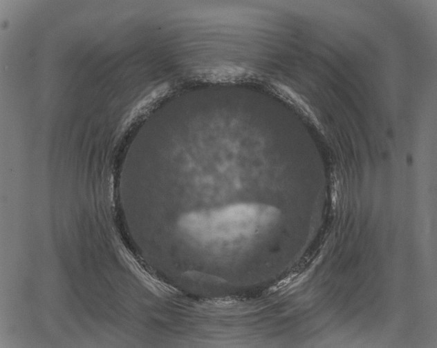 X0000066010589200603061259