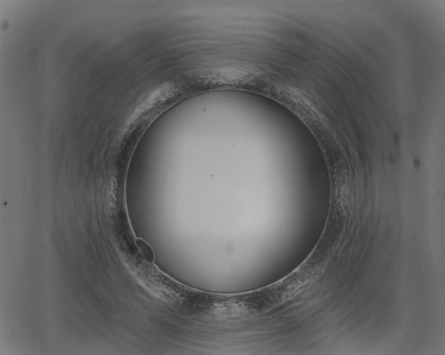 X0000066010591200603061259