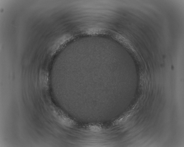 X0000066010592200603061259