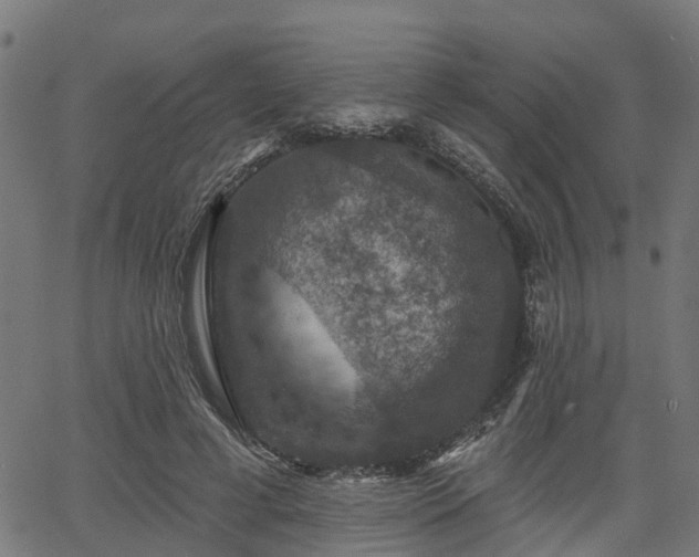 X0000066010593200603061259