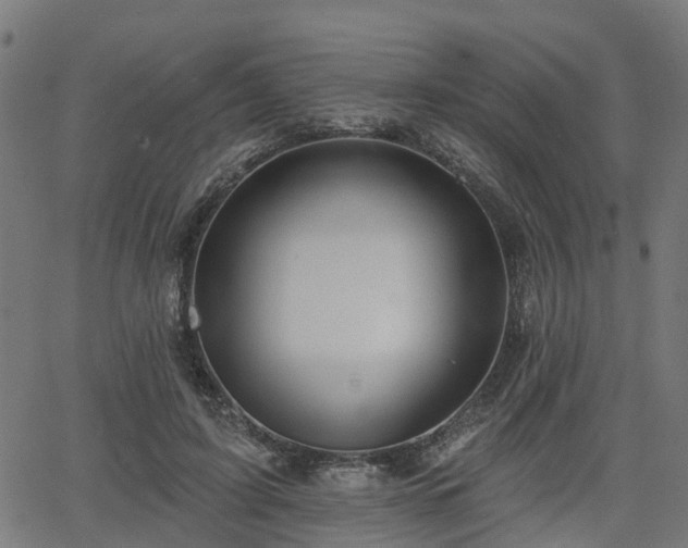 X0000066010595200603061259