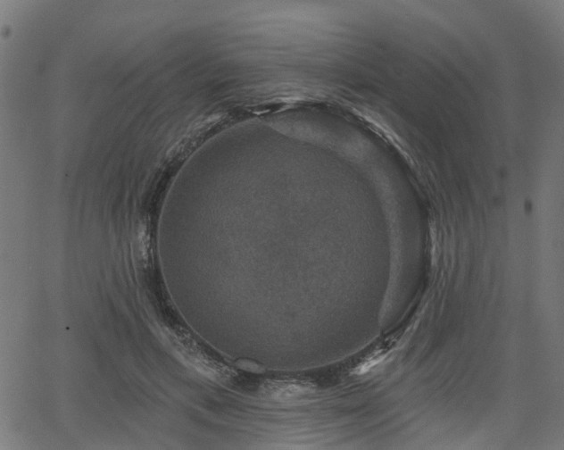 X0000066010597200603061259