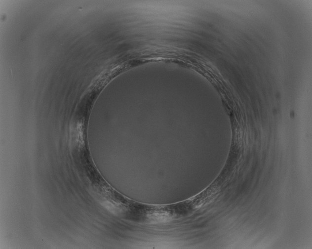 X0000066010598200603061259