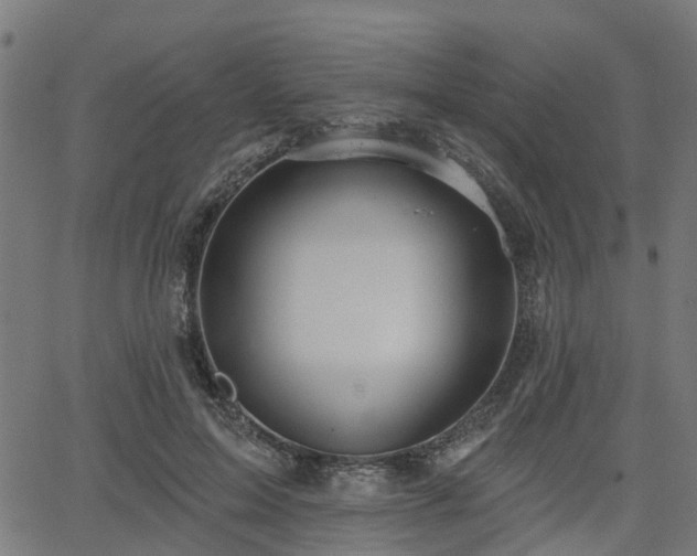 X0000066010599200603061259