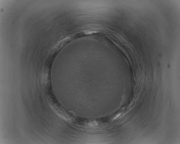 X0000066010600200603061259