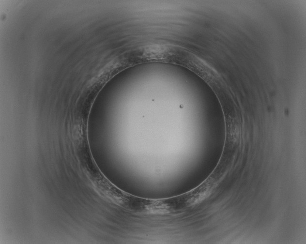 X0000066010603200603061259