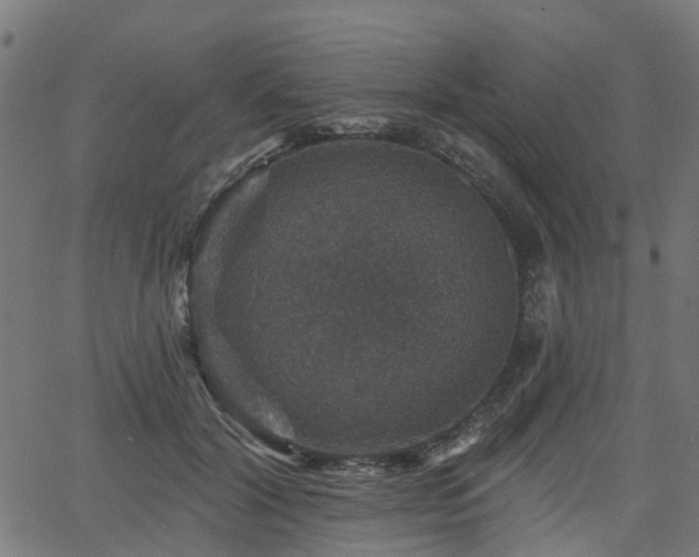 X0000066010604200603061259