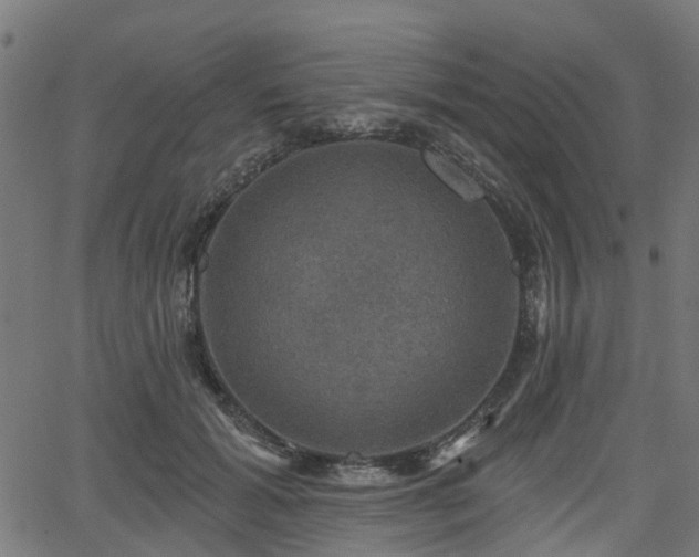 X0000066010605200603061259