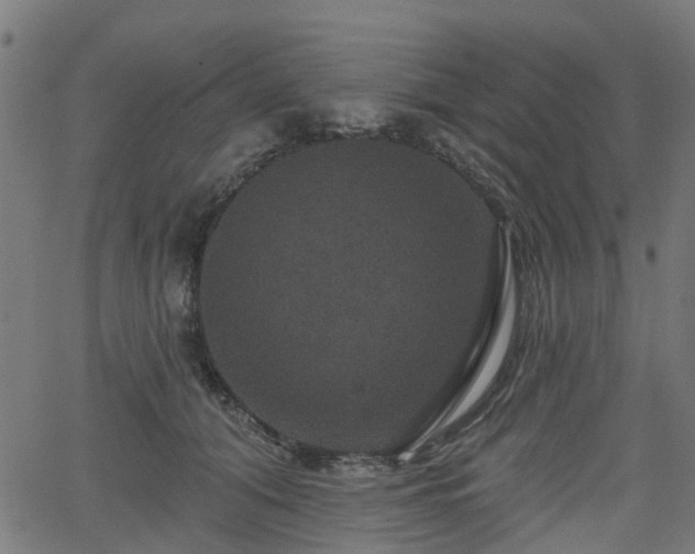 X0000066010608200603061259