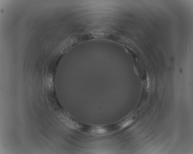 X0000066010610200603061259