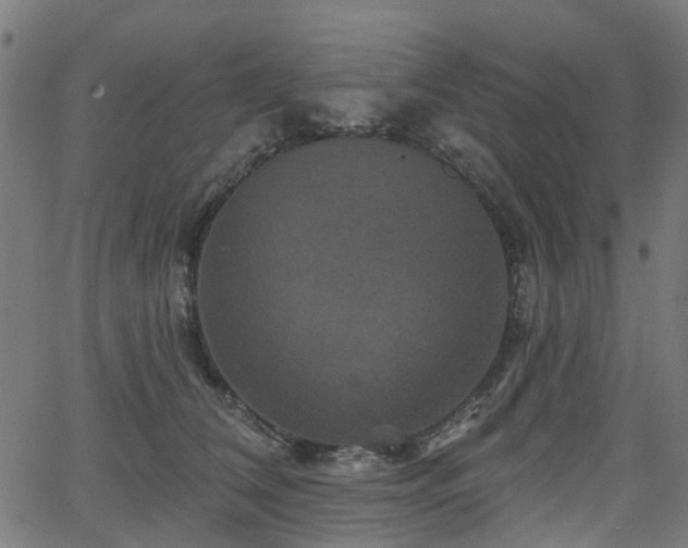 X0000066010612200603061259