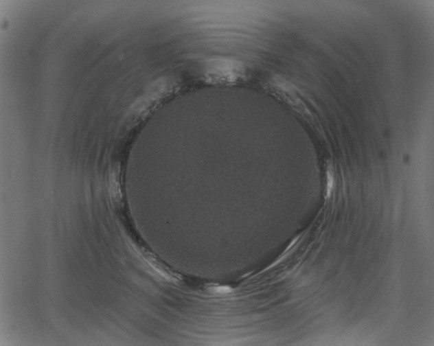 X0000066010616200603061259