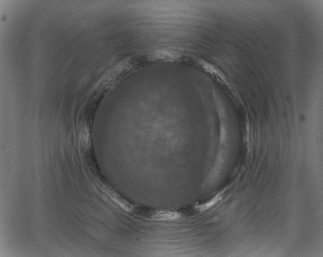 X0000066010617200603061259