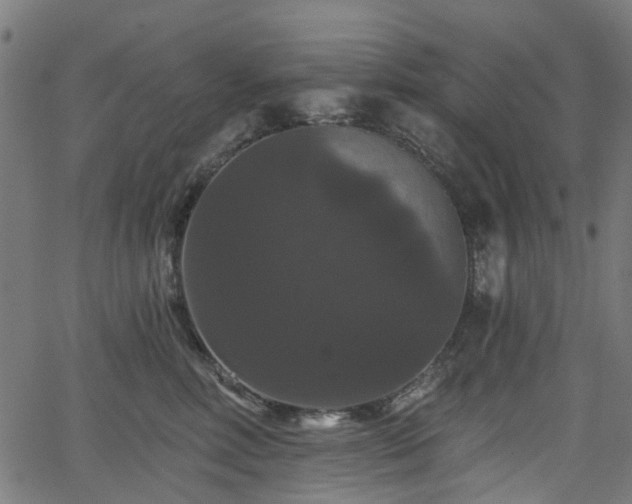 X0000066010618200603061259