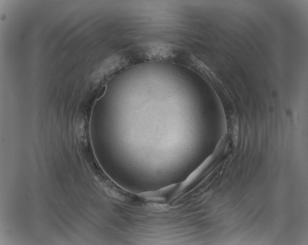 X0000066010619200603061259