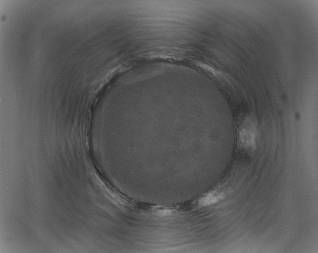 X0000066010620200603061259