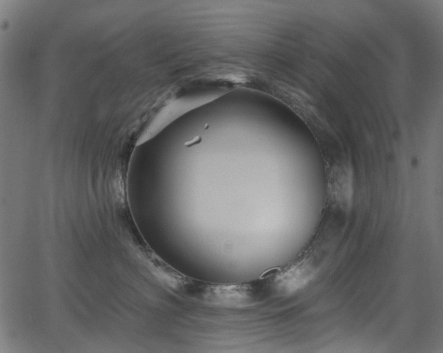 X0000066010622200603061259