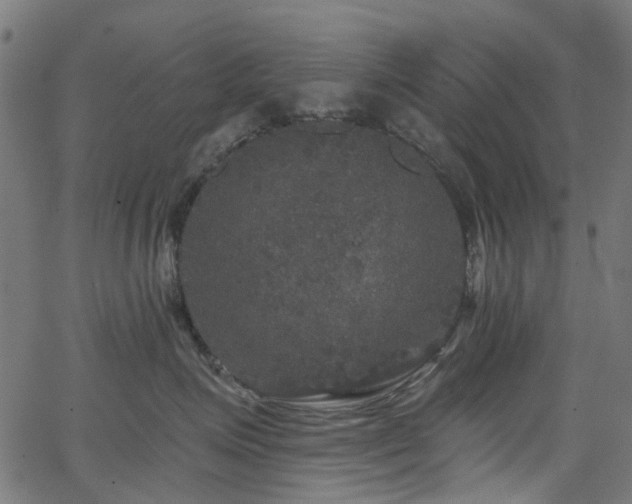 X0000066010623200603061259