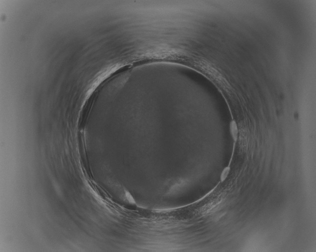 X0000066010626200603061258