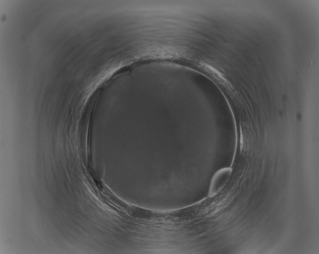 X0000066010627200603061258