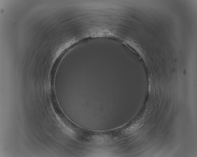 X0000066010630200603061258