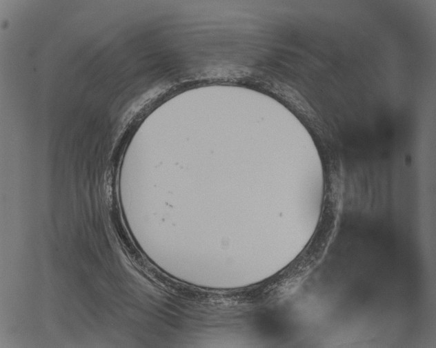 X0000066010632200603061258