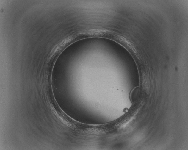 X0000066010633200603061258