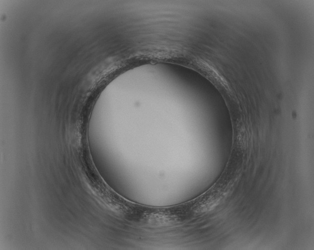 X0000066010635200603061258