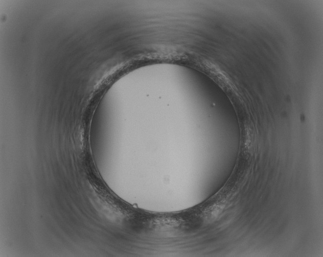 X0000066010636200603061258