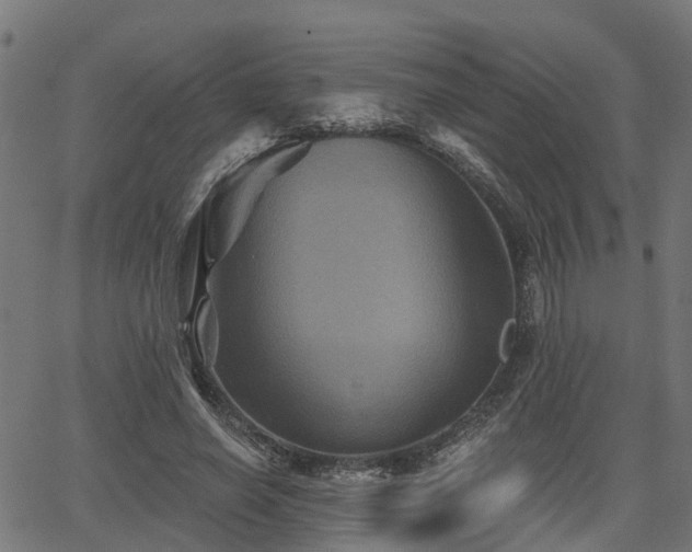 X0000066010638200603061258