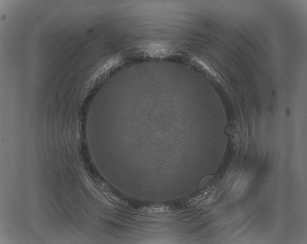 X0000066010639200603061258