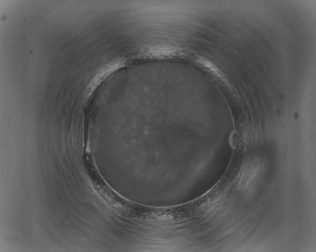 X0000066010640200603061258