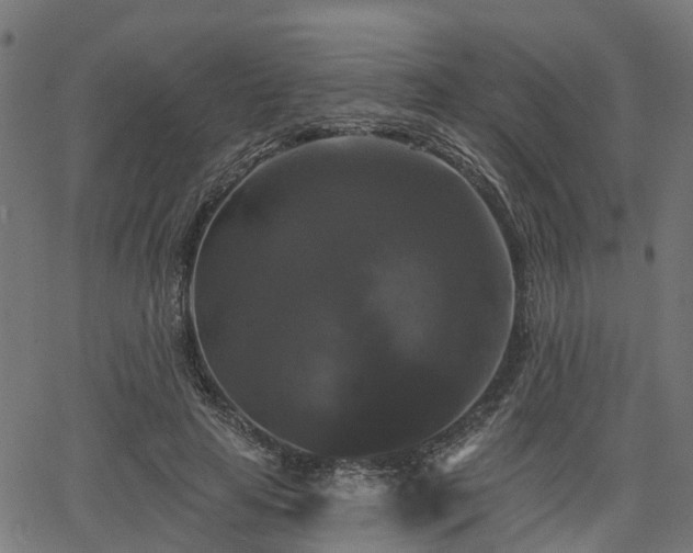 X0000066010641200603061258